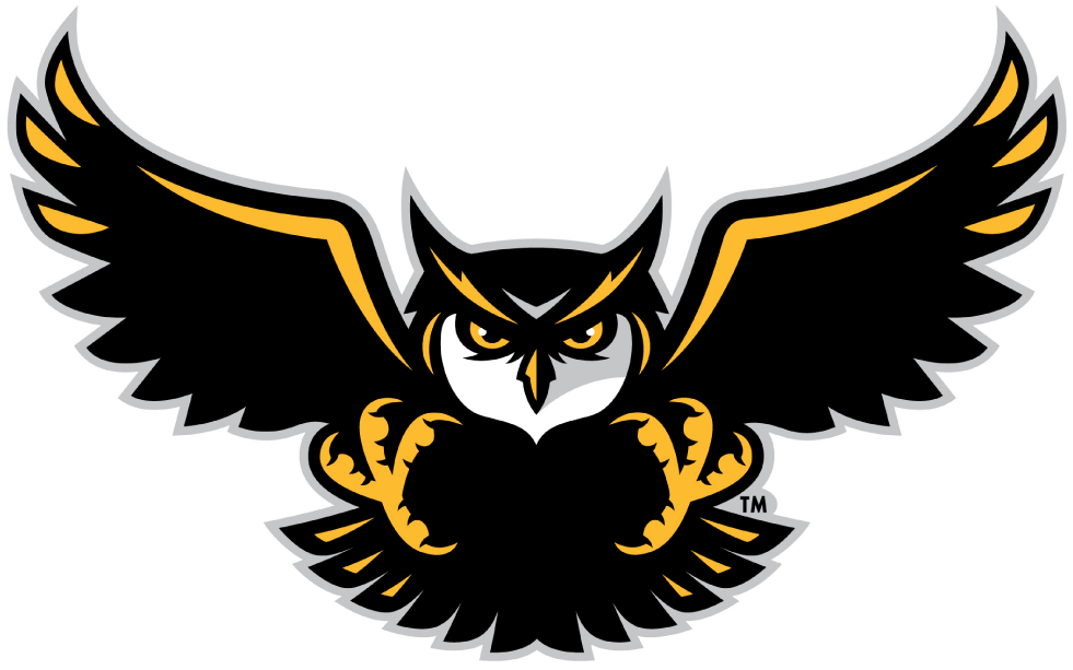 Kennesaw State Owls 2012-Pres Alternate Logo t shirts iron on transfers v4
